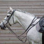 1620289457241.png 1620289457241.png