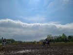 IMG-20210515-WA0004.jpg