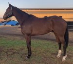 9865FAA9-8318-47A5-93A0-547F8B1CD52E.jpeg 9865FAA9-8318-47A5-93A0-547F8B1CD52E.jpeg