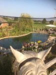 pond through ears.jpg