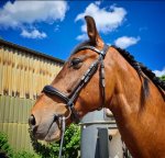 Screenshot_20210529-203836_Gallery.jpg Screenshot_20210529-203836_Gallery.jpg