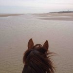 IMG_6144.jpg IMG_6144.jpg