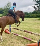 3E1911D0-CE0B-4B5F-ABD5-E4497F543B04.jpeg 3E1911D0-CE0B-4B5F-ABD5-E4497F543B04.jpeg