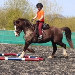 8B11E121-2AAE-4FB5-AA0B-A9CE897428A8.jpeg 8B11E121-2AAE-4FB5-AA0B-A9CE897428A8.jpeg