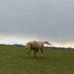 1B4E7875-D66E-4C94-AD75-4E457F1BD383.jpeg