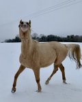C0E9F375-6F71-4346-91F2-3BC149EE627C.jpeg