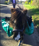 1624867696792.png 1624867696792.png