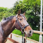 Chilli headshot June.jpg