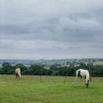 019B30D0-AA6A-4EAD-B37E-16E0D110F723.jpeg 019B30D0-AA6A-4EAD-B37E-16E0D110F723.jpeg