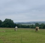 D62DE27D-A206-4D15-BC10-B0F3BC1713D8.jpeg D62DE27D-A206-4D15-BC10-B0F3BC1713D8.jpeg