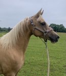 0C844A59-562A-4F5B-B850-48A8EB179173.jpeg 0C844A59-562A-4F5B-B850-48A8EB179173.jpeg