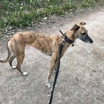 55576573_10157910648699587_3418051814447120384_o.jpg 55576573_10157910648699587_3418051814447120384_o.jpg