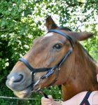 what an ugly mug! (2).jpg