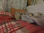 IMG_0855.JPG
