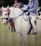 20190413_080504.jpg 20190413_080504.jpg