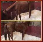 FB_IMG_1555139348012.jpg FB_IMG_1555139348012.jpg