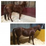 FB_IMG_1555139682065.jpg FB_IMG_1555139682065.jpg