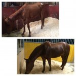 FB_IMG_1555139677313.jpg FB_IMG_1555139677313.jpg