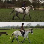 IMG_20190413_081606.jpg IMG_20190413_081606.jpg