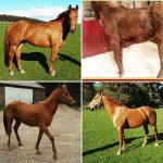 FB_IMG_1555139928317.jpg FB_IMG_1555139928317.jpg