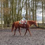 FB_IMG_1555139848303.jpg FB_IMG_1555139848303.jpg