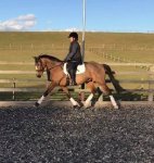 received_1256276434506037.jpeg received_1256276434506037.jpeg