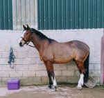 IMG_20190311_173629.jpg IMG_20190311_173629.jpg