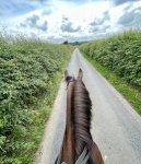 997962D8-BC61-44DD-BD17-D0CF73F0222E.jpeg 997962D8-BC61-44DD-BD17-D0CF73F0222E.jpeg