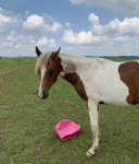 15A248FC-AC97-447E-8A28-E3EA8DE25BD1.jpeg 15A248FC-AC97-447E-8A28-E3EA8DE25BD1.jpeg