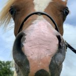 A6335580-C940-413D-8C81-F584D3197FBD.jpeg A6335580-C940-413D-8C81-F584D3197FBD.jpeg