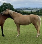 D8E081EB-4D03-4B4C-9893-9FCB59D3D7C9.jpeg D8E081EB-4D03-4B4C-9893-9FCB59D3D7C9.jpeg