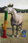 Stoner-horse-630_2.jpg