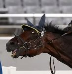 Screenshot_20210807-152754_Chrome.jpg Screenshot_20210807-152754_Chrome.jpg