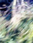 falling at speed!.jpg