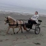 7665F000-6B93-4DB3-8C17-E094EDE1D91B.jpeg 7665F000-6B93-4DB3-8C17-E094EDE1D91B.jpeg