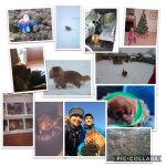 B38CA377-B0A7-43FD-979E-13F278071C66.jpeg B38CA377-B0A7-43FD-979E-13F278071C66.jpeg