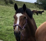 845F25D2-9DD1-4FDE-BC10-5B4F77BCD6C0.jpeg 845F25D2-9DD1-4FDE-BC10-5B4F77BCD6C0.jpeg