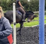 015A2B7B-C551-44D6-BC61-D706777E33BB.jpeg 015A2B7B-C551-44D6-BC61-D706777E33BB.jpeg