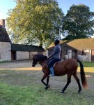 E6A23C37-1250-4F6B-9FD2-F945E61122C3.jpeg E6A23C37-1250-4F6B-9FD2-F945E61122C3.jpeg