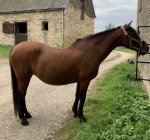 C614A446-1E25-4001-8906-A77FE8BC663C.jpeg C614A446-1E25-4001-8906-A77FE8BC663C.jpeg