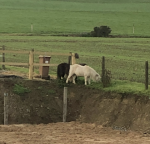 Screenshot 2021-10-09 at 21.57.37.png