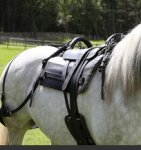 Screenshot_20211011-120402_Samsung Internet.jpg