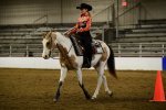 lucky western horsemanship cutest trot.jpg