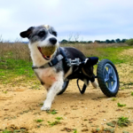 1635510307882.png 1635510307882.png