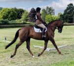 E5327567-9277-4C87-9204-6A1992A89976.jpeg E5327567-9277-4C87-9204-6A1992A89976.jpeg