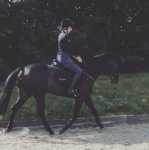 4D2D9147-D52D-4074-9A6E-34C1CD9B55E6.jpeg 4D2D9147-D52D-4074-9A6E-34C1CD9B55E6.jpeg