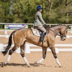 FA106C7D-C2CE-4E07-9972-1E4E7C613BC8.jpeg FA106C7D-C2CE-4E07-9972-1E4E7C613BC8.jpeg