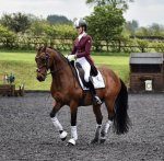 5F638D71-9BB9-4E6E-9E34-3C9716C096B0.jpeg 5F638D71-9BB9-4E6E-9E34-3C9716C096B0.jpeg