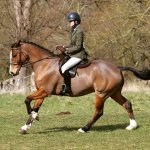 E2FF4DE3-5A02-49F0-A99D-29C202914201.jpeg E2FF4DE3-5A02-49F0-A99D-29C202914201.jpeg