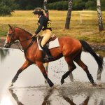 tweseldown.jpg tweseldown.jpg